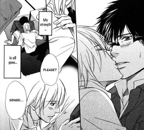 tumblr photo wonder-yaoi-land 0