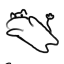 junebugscorner