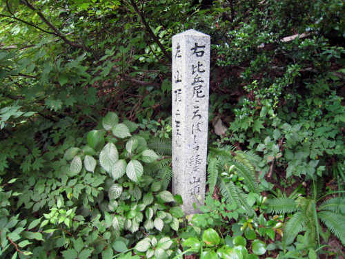 日野山（ひのさん、Mt.Hino）標高795m20080803室堂横の風景（不動明王様）室堂の近くの水飲み場登山道案内板比丘尼（びくに）ころばしこの先に大比丘尼ころばしがあります。女人禁制だった頃、尼