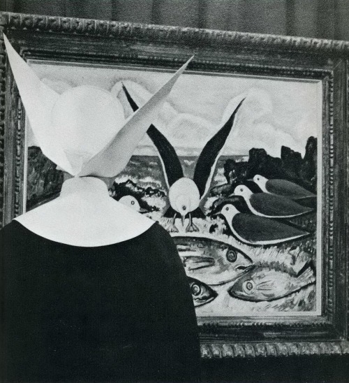 For some reason this Sister of Charity in Waterville, Maine, is drawn to a painting of a seagull taking wing.
