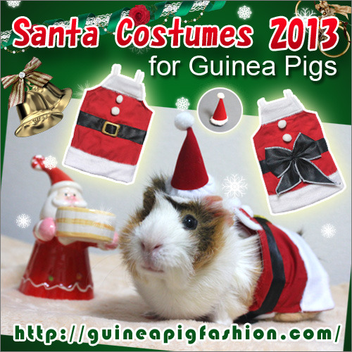 New on shop! Santa Costume Pack [2013] for Guinea Pigs now available on Guinea Pig Fashion.