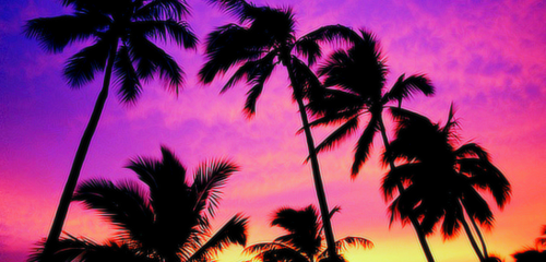 Take me to Neverland