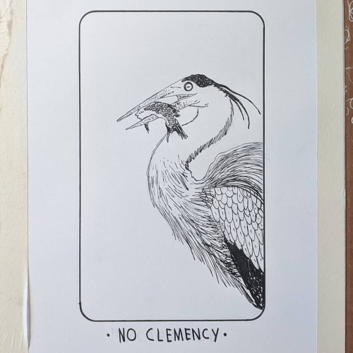 They came again, saying&hellip; . . . #heron #fish #bird #clemency #illustration #birdillustration #