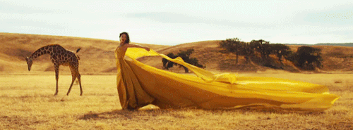 Wildest Dreams // Taylor + Animals