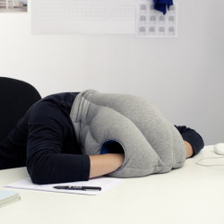 mycoolstuffdude: The Ostrich Pillow With