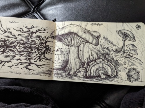 Pages From My Sketchbook