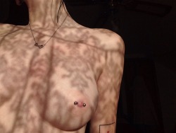 cutthroatcity:  My nipple piercings are too