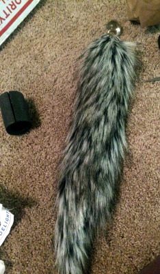 chaistrainer:  Unfortunately slave chai and I could not be together for Christmas. she was however extremely excited when she opened her gift from me…. her new tail from Crystal Delights. I would like to wish foxytail11 a very Happy Holiday… her beautiful
