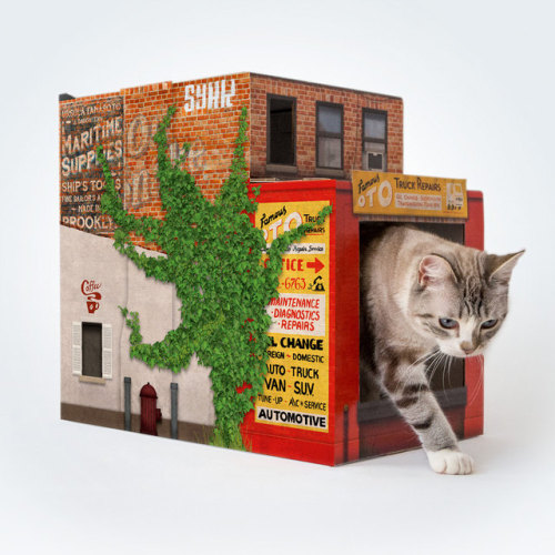 Cardboard Shelters Let Your Cat Live Out Their Human DreamsC’mon, let your cat live out its dream of