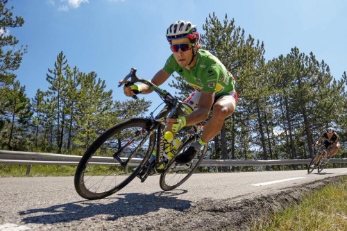 peter-sagan: Nice shot of Peter ;) #TDF2015