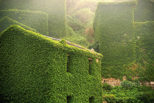 archatlas: Abandoned Chinese Fishing Village Being Swallowed By Nature Shengsi, an archipelago of a