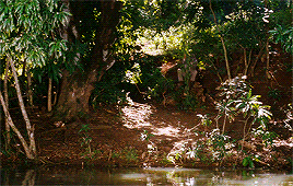 brad-pitt: You want to talk to God? Let’s go see him together, I’ve got nothing
