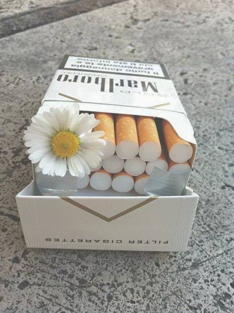 True Love ∞