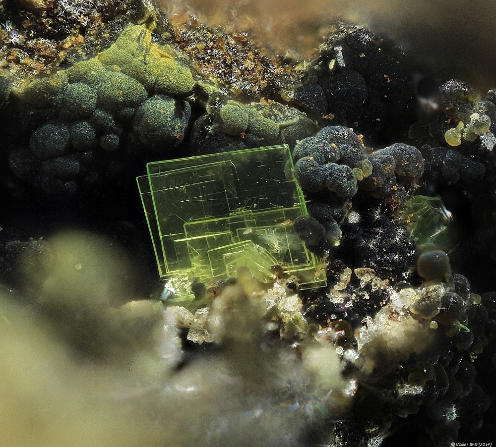 underthescopemin:  Autunite, Rockbridgeite Group of tabular, transparent crystals