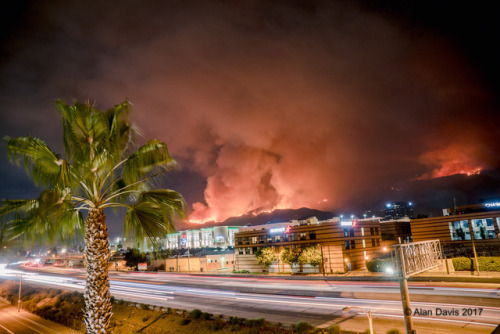 I grew up with a SoCal brush fire fighter for a father so I pretty much remember chasing flames all 