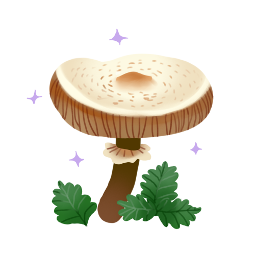 aventurinedraws