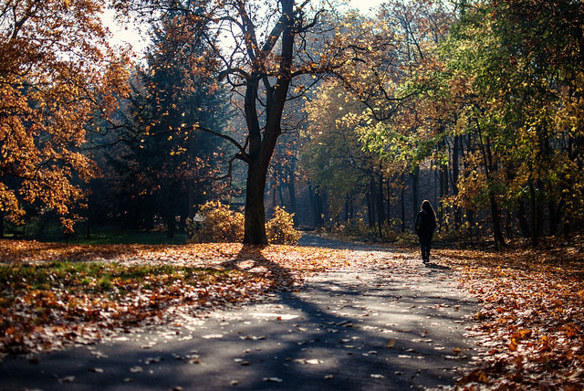 witchyautumns:    distance by ewitsoe on Flickr.    Ooo~!