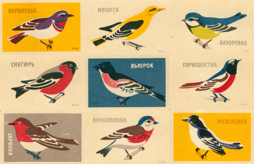 sovietpostcards:Songbirds on Soviet matchbox labels (1960s)via Jane McDevitt @ flickr