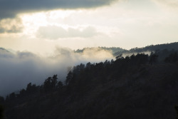 thomas-turner-photography:  “Spring Storm”