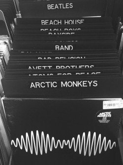 quizasnuncafuisteparami:  arctic monkeys❤️❤️❤️❤️