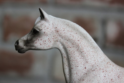 My newest custom model horse is NOT a Breyer, but a Hartland 5″ scale Arabian Mare! Zenith has been 