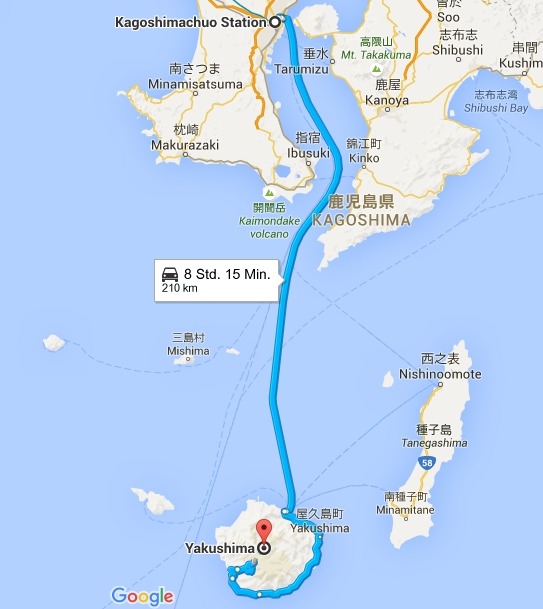 positive-everything:  19.11.2015 Yakushima This morning I woke up early to catch