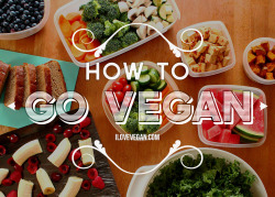 garden-of-vegan:  Transitioning to Veganism So you’ve decided that you’d like to become vegan, but where do you start? Transitioning to a veganism may seem daunting but often the idea of a big lifestyle change is a lot scarier than actually doing