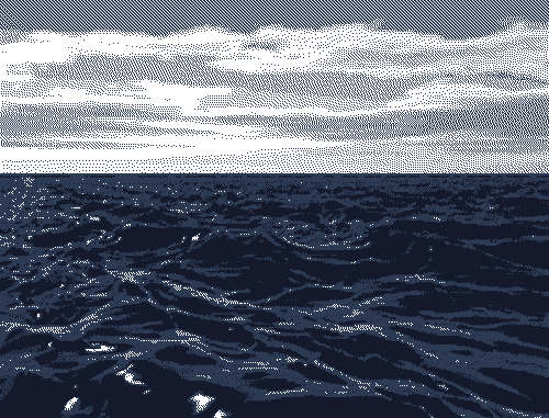 M S