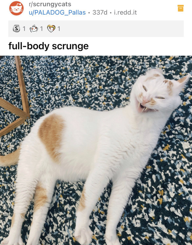 pupangelremade-deactivated20211:oddverse:oddverse:Thinking about full body scrunge