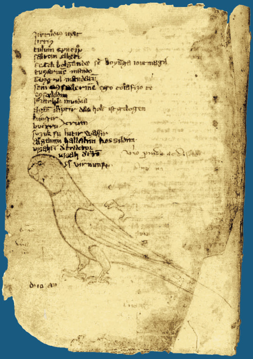 Page from Codex Cumanicus (14th century)Codex Cumanicus was a medieval linguistic manual that was co