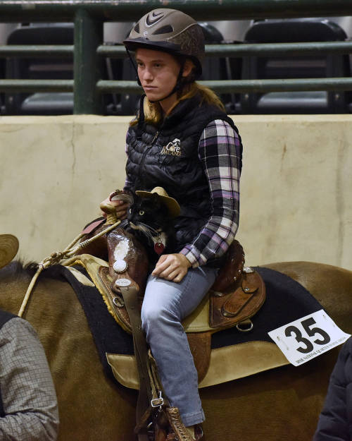 “So today was a first for me… I’m volunteering at the Dixie National EWD show today and