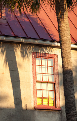 hueandeyephotography:  Window and Palmetto Shadow, Charleston, SC © Doug Hickok   More here… hue and eye tumblr 