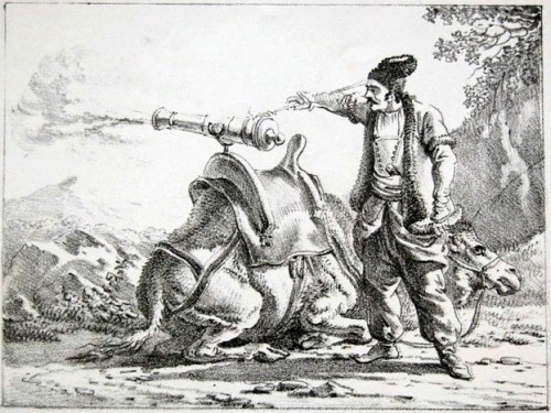 The Zamburak,First appearing the 17th century, the zamburak was a small camel mounted cannon popular