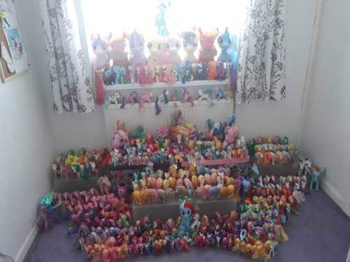 rodneytheponydude:Today marks the 1st anniversary of me and @strangechildhood collecting ponies! Sin