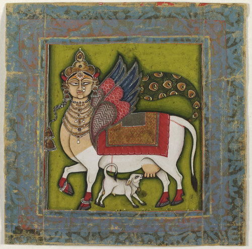 Kamadhenu, a celestial cow
