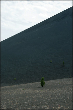 wayoutwest:  Alone  - Cinder Cone Trail