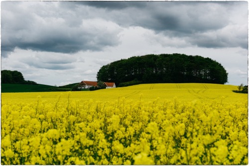 Here are two photographs made during my last trip to Sweden. One was made using my Leica. Afterwards