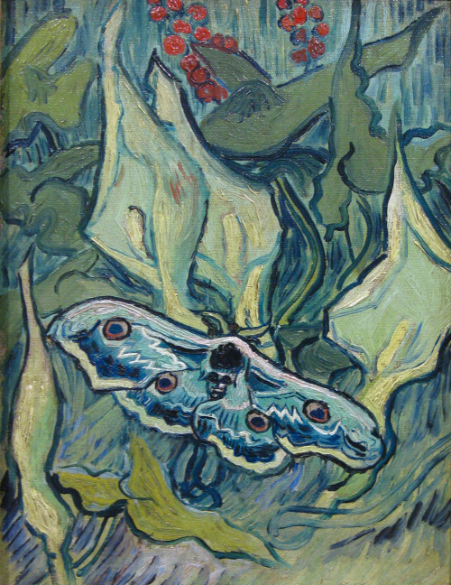 artfoli:Green Peacock Moth, 1889, by Vincent van Gogh (1853-1890)