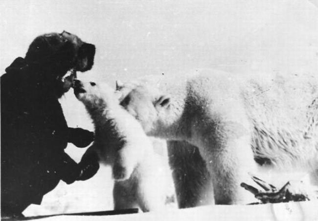 gunrunnerhell:  Comrade Polar Bear Russian scientists and military personnel feeding