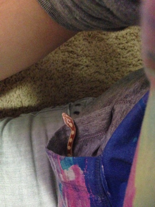 rate-my-reptile: hufflrpuff: today I discovered the real purpose of pockets Purpoes of Pocket: Full 