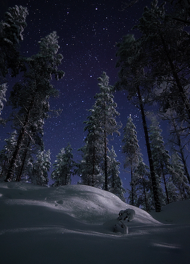 hellocoraco:“In winter the stars seem to have rekindled their fires, the moon achieves