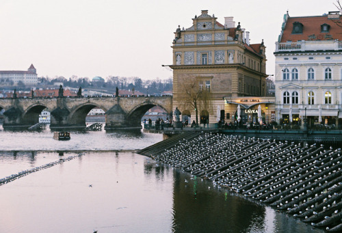 Prague - March, 2018Afga Vista 400 x Olympus OM-1prints | instagram