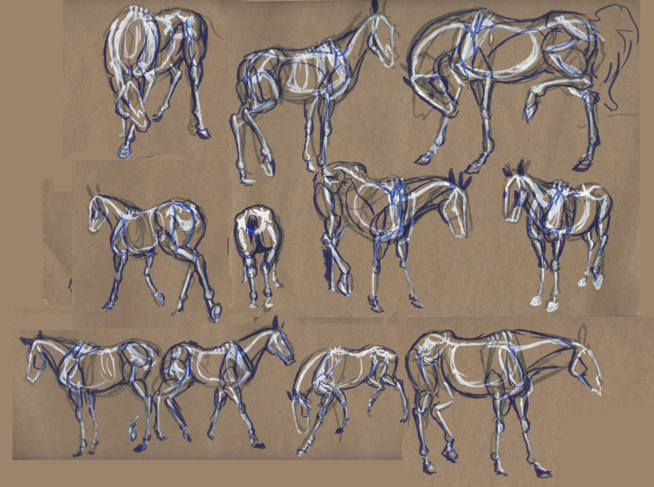 How-To-Draw-Horses  Horse drawings, Horse art drawing, Horse