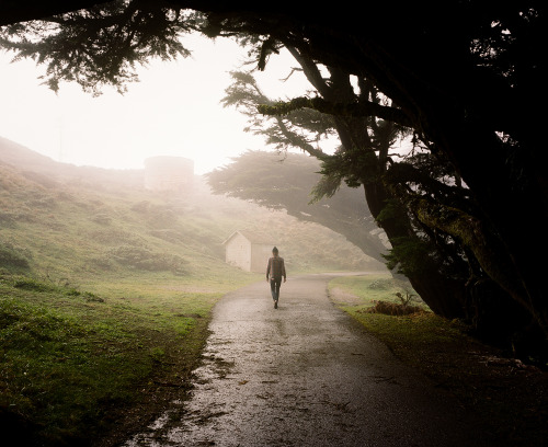 Point Reyes, 2015