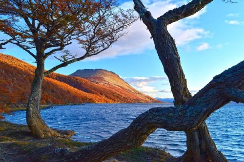 turnnoffyourmind:Magic LandTierra del Fuego, Fin del Mundo, Patagonia Chilena.