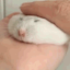 sneakysnick