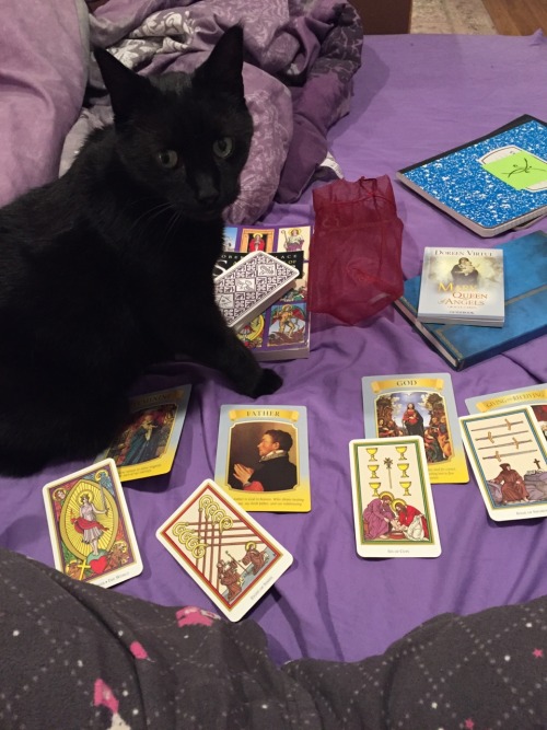 a-wick-with-no-candle:Look who decided to join my card reading