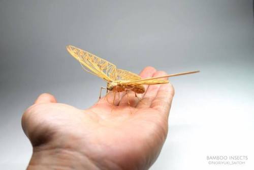 Bamboo Insect Sculptures Brought to Life by Noriyuki SaitohNoriyuki Saitoh stays true to his Japanes