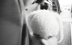 zaynsharold:  Zayn Malik → You &amp; I Fragrance Backstage Video [x] 