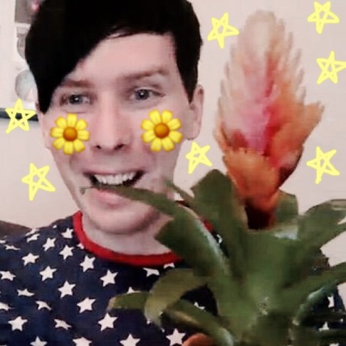 helloimjess:Edits of Phil with his lovely houseplants ~ feel free to use any as icons ! ヾ(๑╹◡╹)ﾉ&
